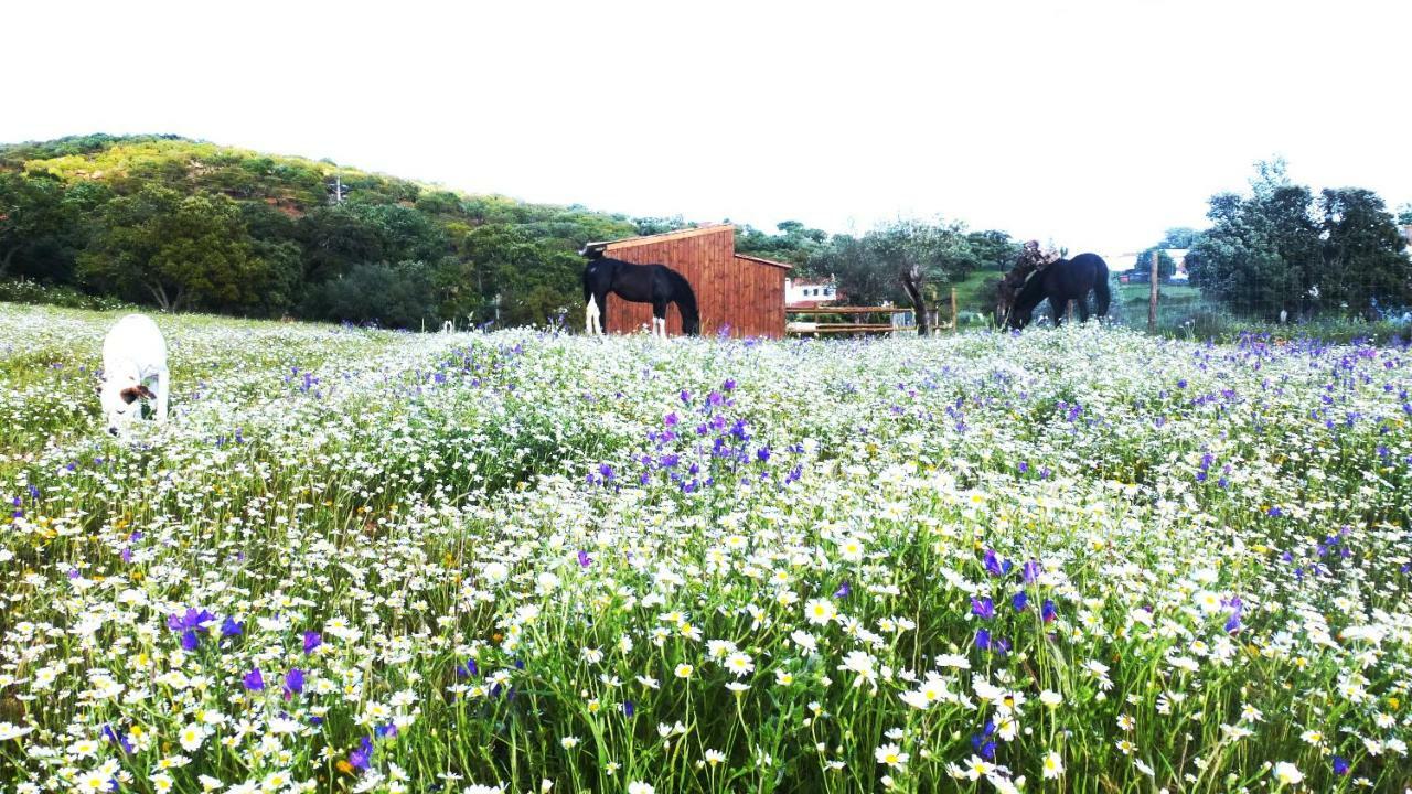 Sharish - Monte Das Estevas Estremoz Exteriör bild