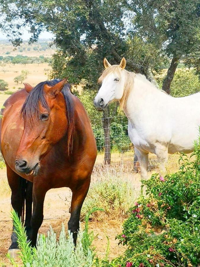 Sharish - Monte Das Estevas Estremoz Exteriör bild