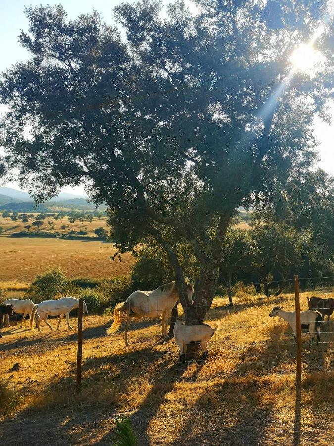 Sharish - Monte Das Estevas Estremoz Exteriör bild